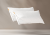 2 Microfiber Pillows